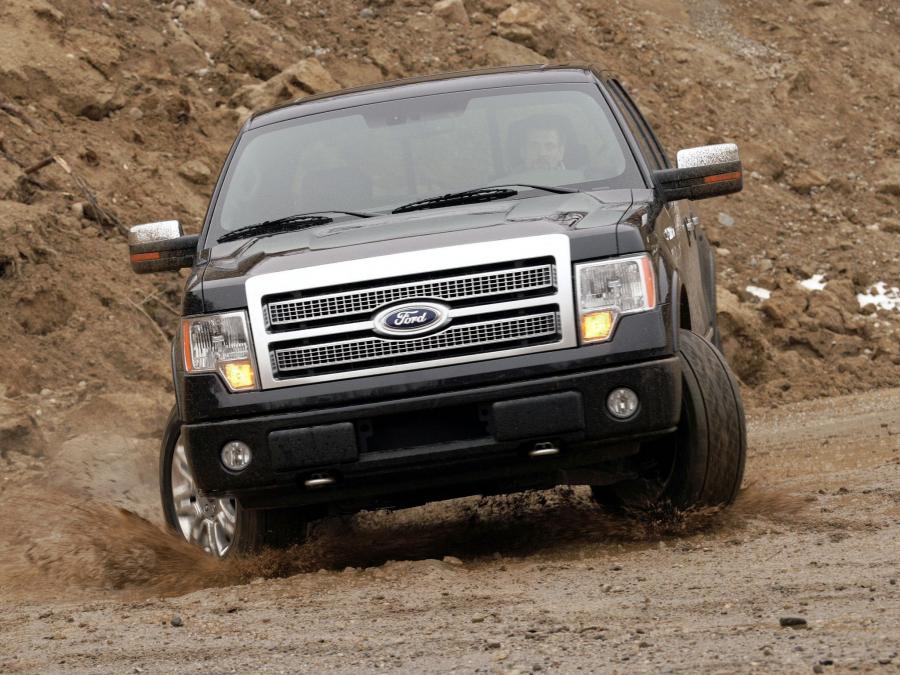  Ford F-150 Platinum 2008 года  (фото 5 из 19)